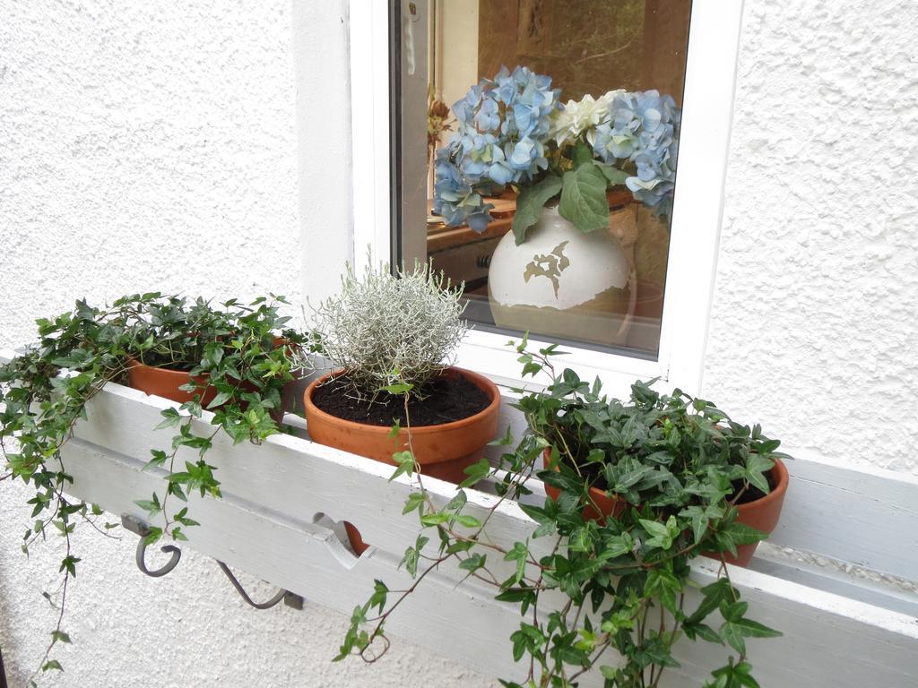 אובאן Elmbank Garden Apartment חדר תמונה